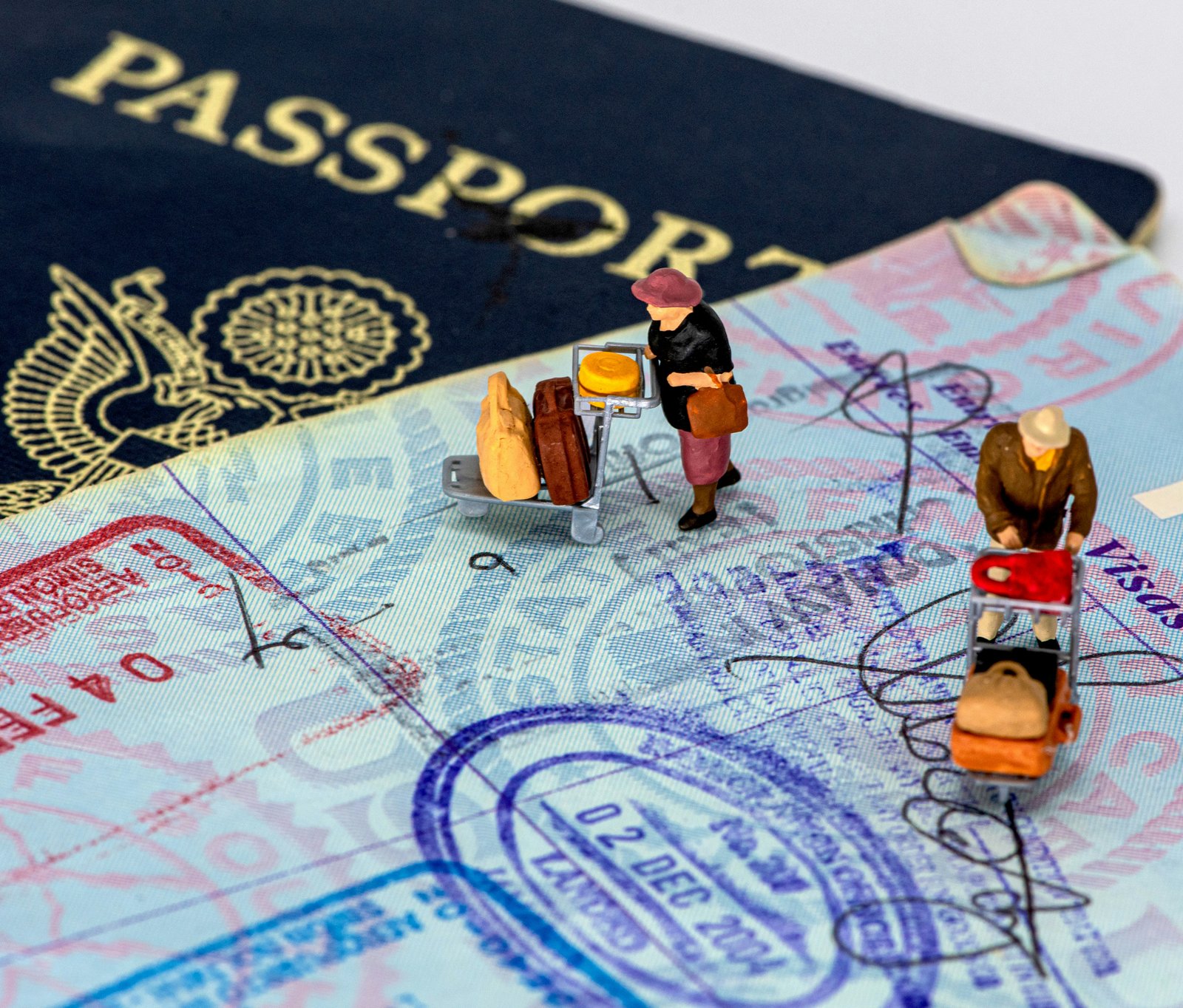 Visa Application Support